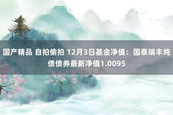 国产精品 自拍偷拍 12月3日基金净值：国泰瑞丰纯债债券最新净值1.0095