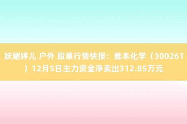 妖媚婷儿 户外 股票行情快报：雅本化学（300261）12月5日主力资金净卖出312.85万元