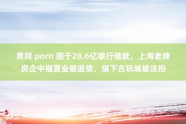 男同 porn 困于28.6亿银行借款，上海老牌房企中福置业被追债，旗下古玩城被法拍