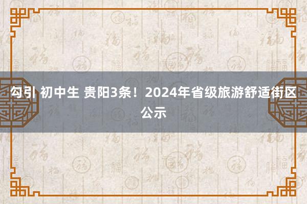 勾引 初中生 贵阳3条！2024年省级旅游舒适街区公示