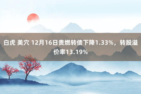 白虎 美穴 12月16日贵燃转债下降1.33%，转股溢价率13.19%