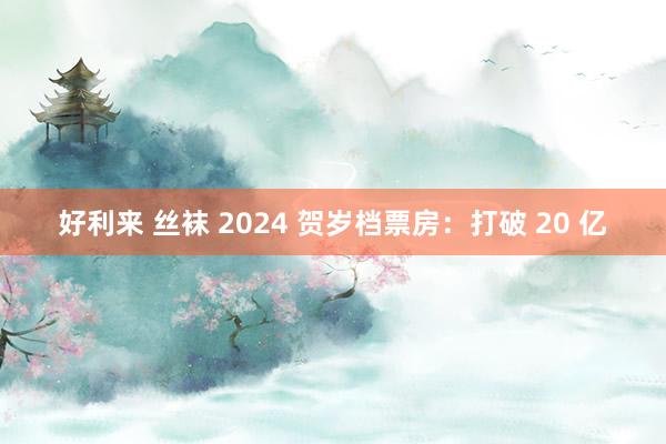 好利来 丝袜 2024 贺岁档票房：打破 20 亿