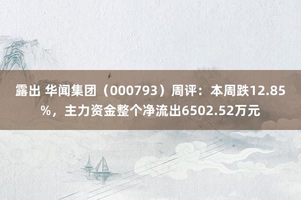 露出 华闻集团（000793）周评：本周跌12.85%，主力资金整个净流出6502.52万元