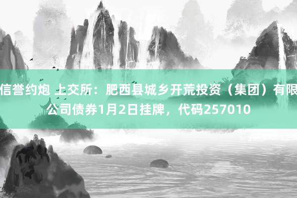 信誉约炮 上交所：肥西县城乡开荒投资（集团）有限公司债券1月2日挂牌，代码257010