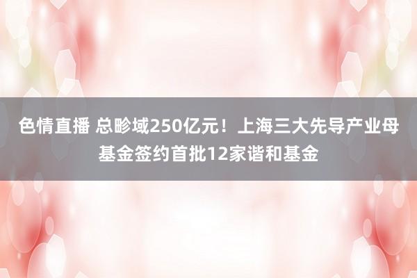 色情直播 总畛域250亿元！上海三大先导产业母基金签约首批12家谐和基金