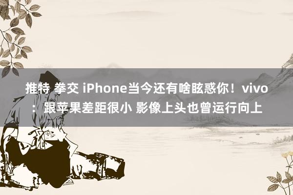 推特 拳交 iPhone当今还有啥眩惑你！vivo：跟苹果差距很小 影像上头也曾运行向上