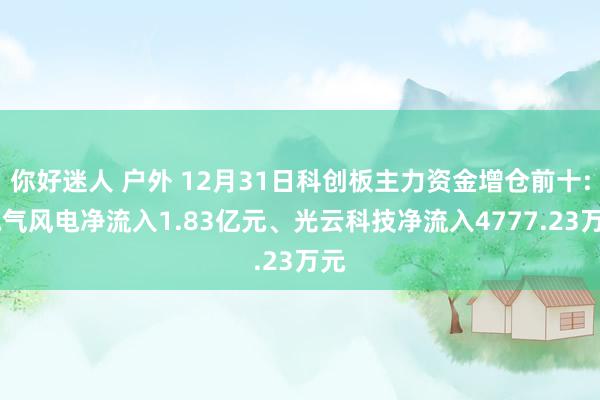 你好迷人 户外 12月31日科创板主力资金增仓前十: 电气风电净流入1.83亿元、光云科技净流入4777.23万元