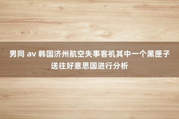 男同 av 韩国济州航空失事客机其中一个黑匣子送往好意思国进行分析