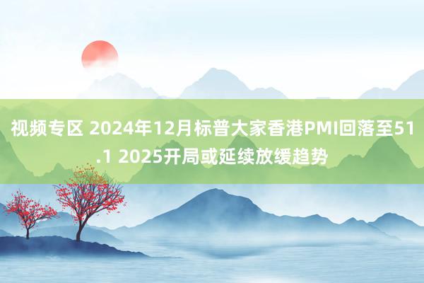 视频专区 2024年12月标普大家香港PMI回落至51.1 2025开局或延续放缓趋势