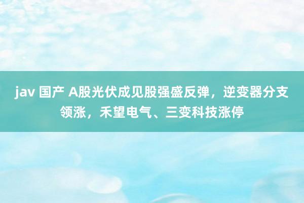 jav 国产 A股光伏成见股强盛反弹，逆变器分支领涨，禾望电气、三变科技涨停