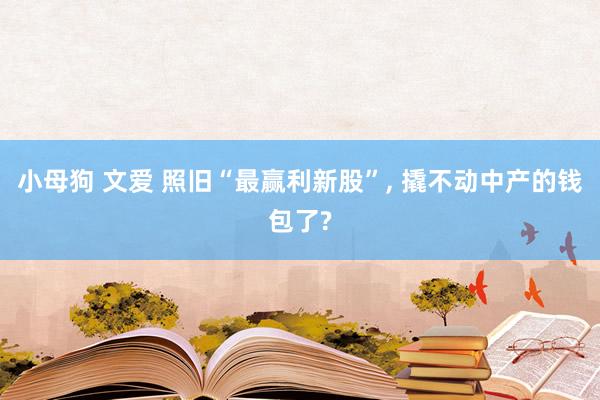 小母狗 文爱 照旧“最赢利新股”， 撬不动中产的钱包了?