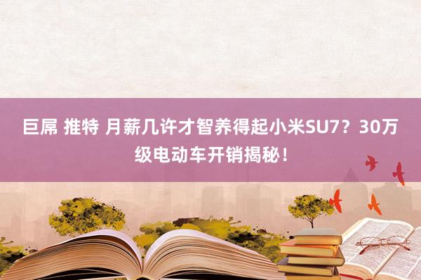 巨屌 推特 月薪几许才智养得起小米SU7？30万级电动车开销揭秘！