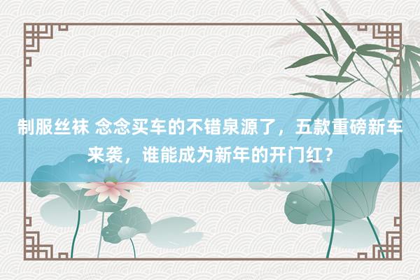 制服丝袜 念念买车的不错泉源了，五款重磅新车来袭，谁能成为新年的开门红？