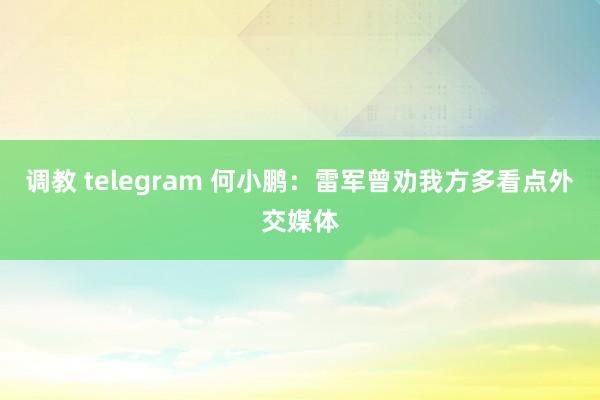 调教 telegram 何小鹏：雷军曾劝我方多看点外交媒体