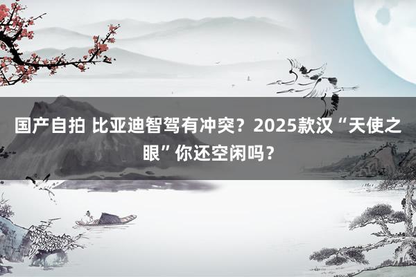 国产自拍 比亚迪智驾有冲突？2025款汉“天使之眼”你还空闲吗？