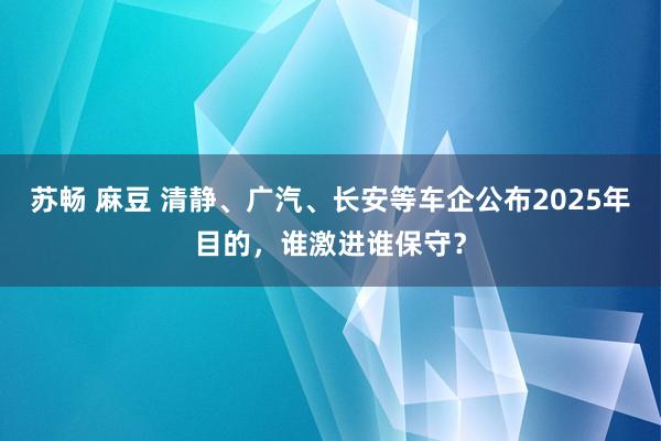 苏畅 麻豆 清静、广汽、长安等车企公布2025年目的，谁激进谁保守？