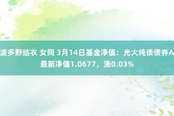 波多野结衣 女同 3月14日基金净值：光大纯债债券A最新净值1.0677，涨0.03%