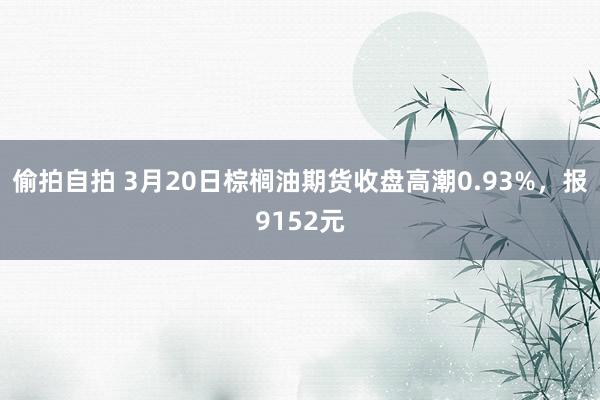 偷拍自拍 3月20日棕榈油期货收盘高潮0.93%，报9152元